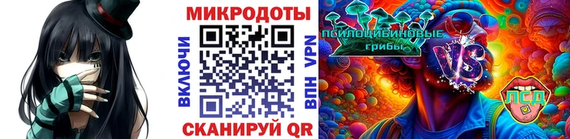 наркота Ясный Галлюциногенные грибы прущие грибы