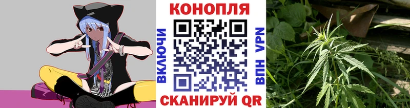 Канабис гибрид  Ясный 